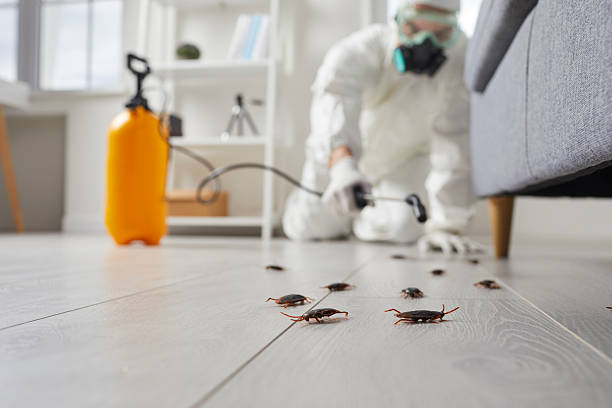 Trusted Rodent Control service in Tonkawa, OK - Nex Pest Control