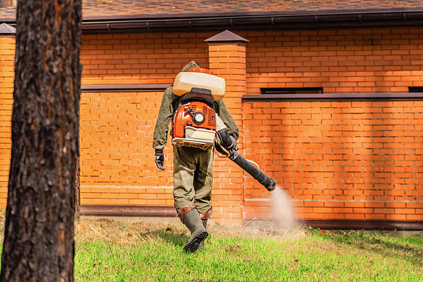 Trusted Bed Bug Control service in Tonkawa, OK - Nex Pest Control